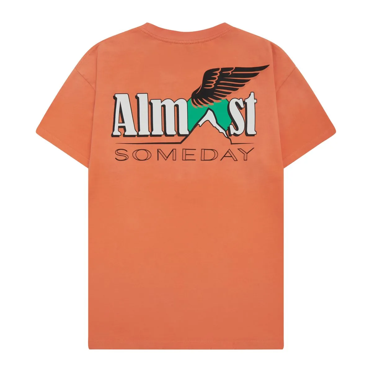 ALMOST SOMEDAY SPIRIT TEE (SUN FADE WASH)