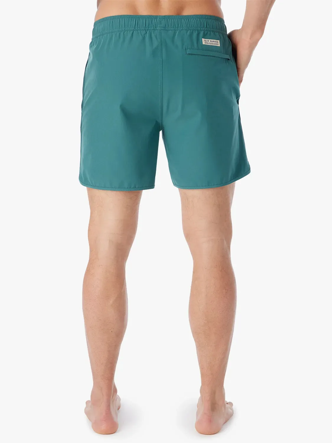 Anchor Short | Seapine
