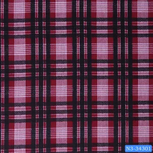 Barn Red Check Print Shirt
