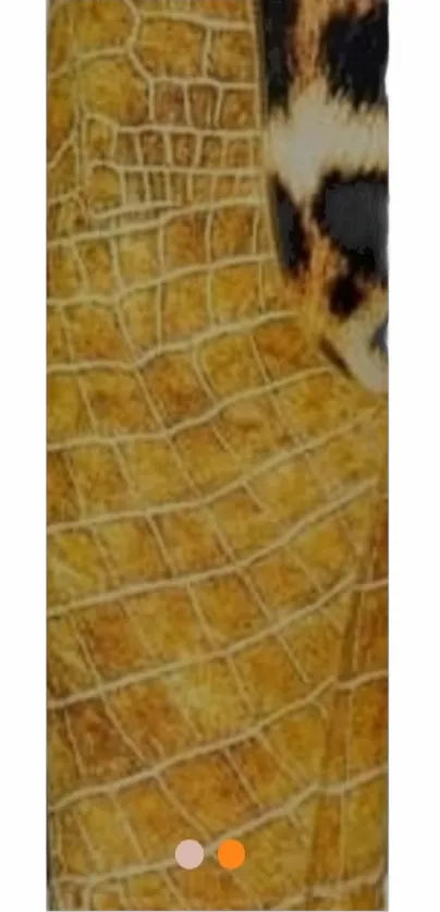 Cheetah Boxers