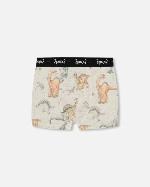 Deux Par Deux Organic Cotton Boxer Shorts - Dinosaur On Mottled And Tan Background