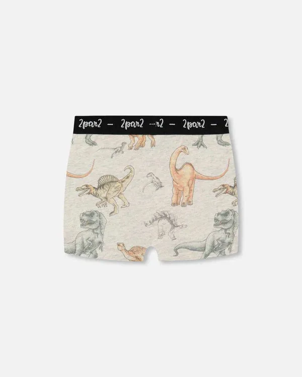 Deux Par Deux Organic Cotton Boxer Shorts - Dinosaur On Mottled And Tan Background