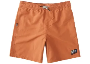 Element Canyon Kids' Hybrid Shorts Mocha Bisque