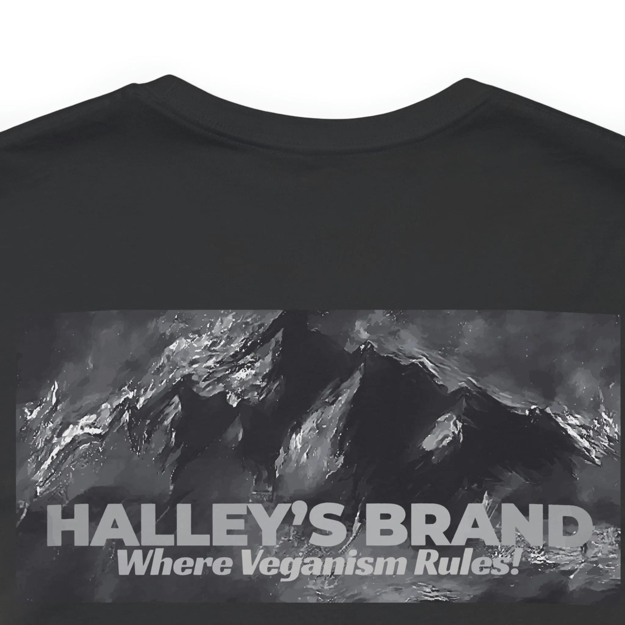 Enterprise vs Godzilla Short Sleeve Tee