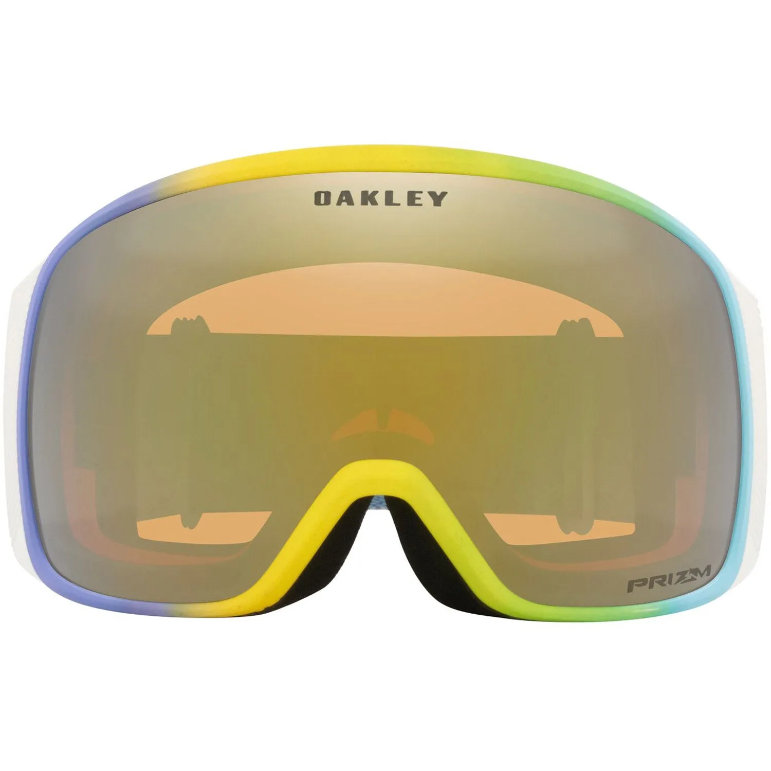 Flight Tracker L Snow Goggles