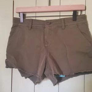 Prana green organic cotton shorts 2 nwt