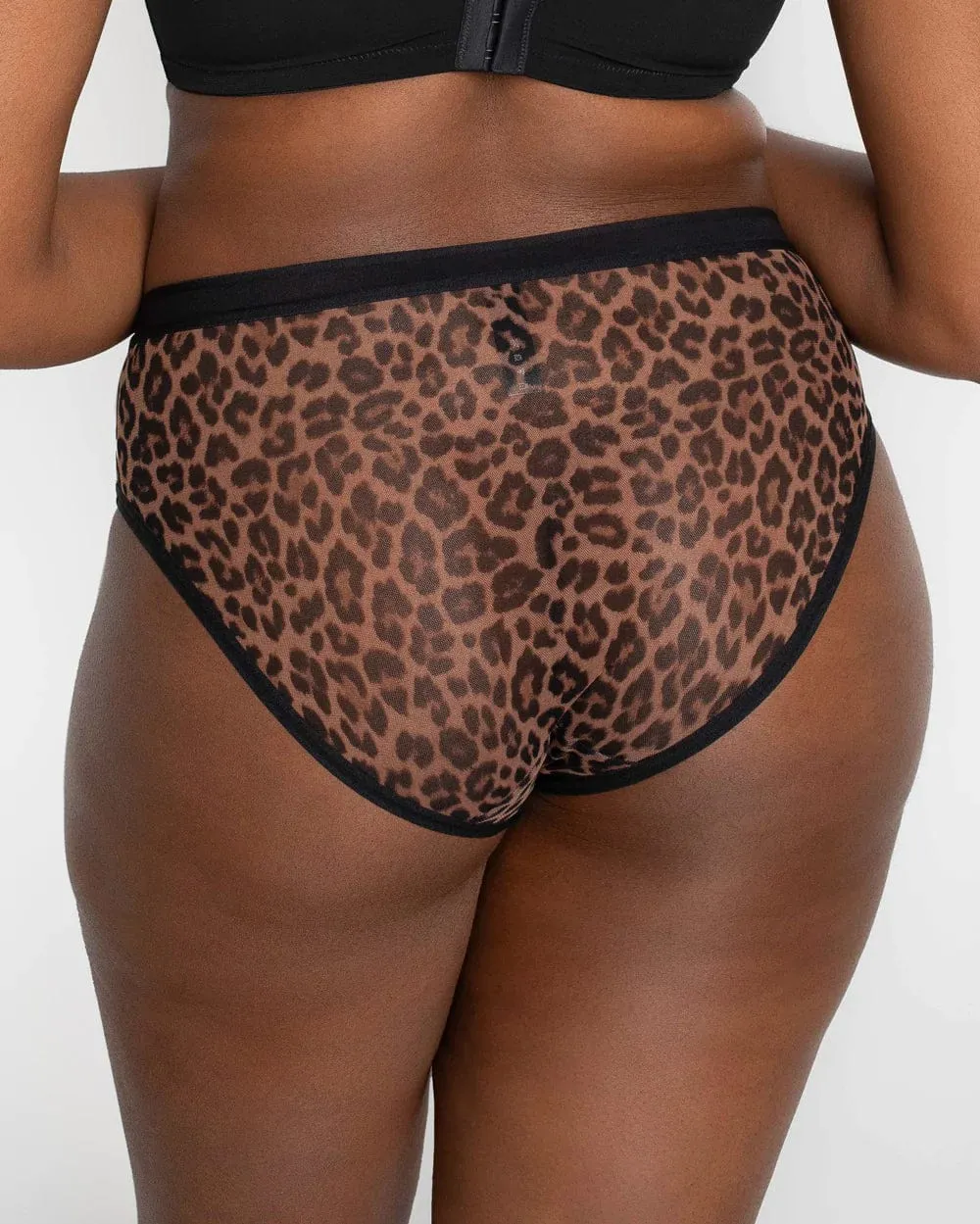 Sheer Mesh High Cut Brief - Designer Leo