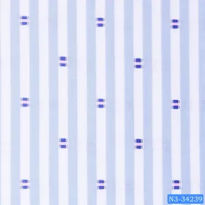 Sky Blue Stripe Print Shirt
