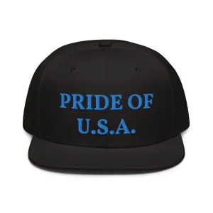 Snapback Hat "1054-0031 U.S.A. (Blue Logo)"