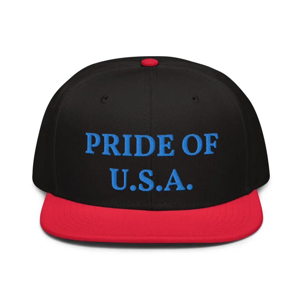 Snapback Hat "1054-0031 U.S.A. (Blue Logo)"