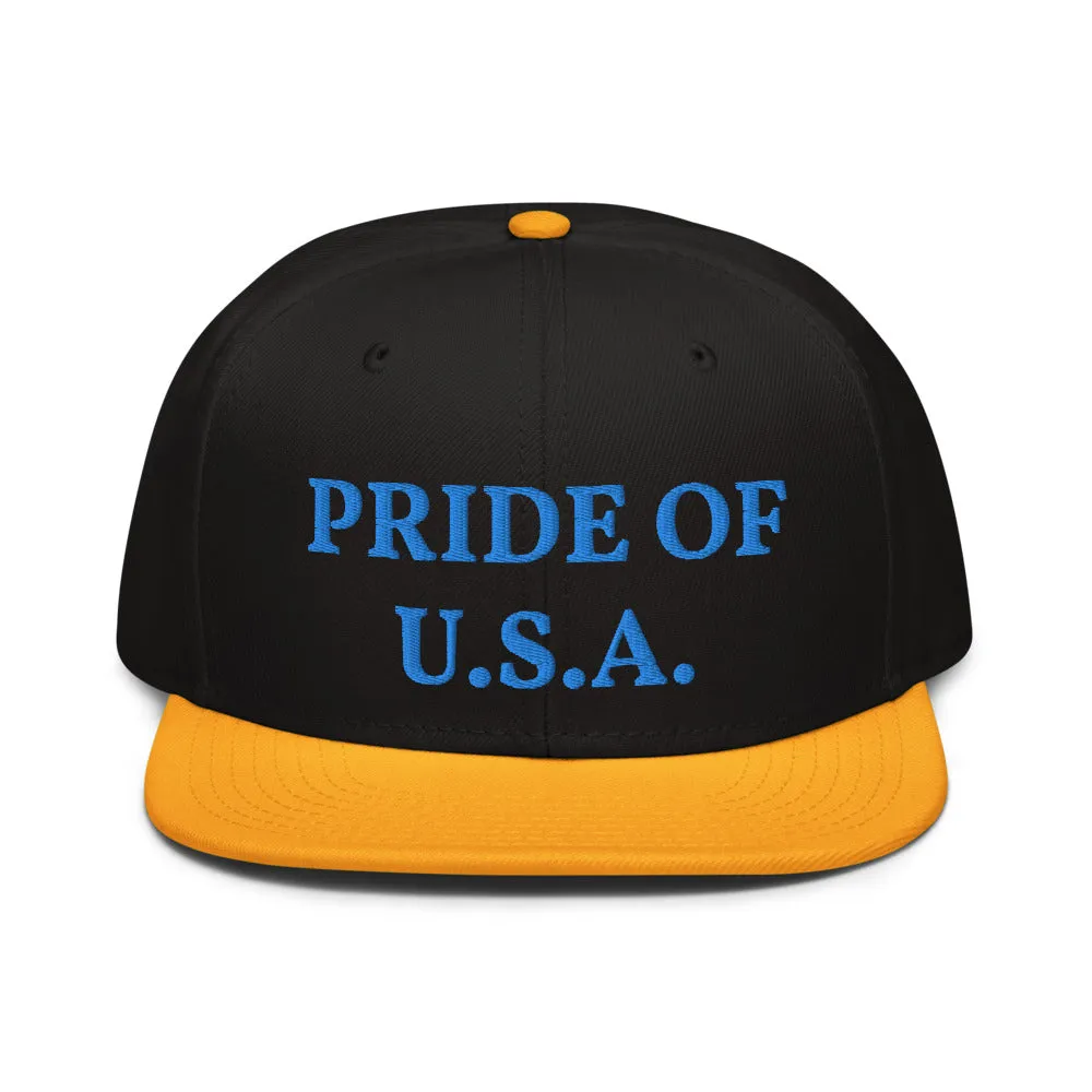 Snapback Hat "1054-0031 U.S.A. (Blue Logo)"