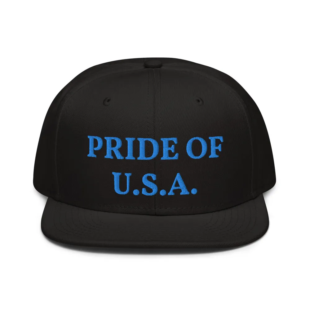 Snapback Hat "1054-0031 U.S.A. (Blue Logo)"