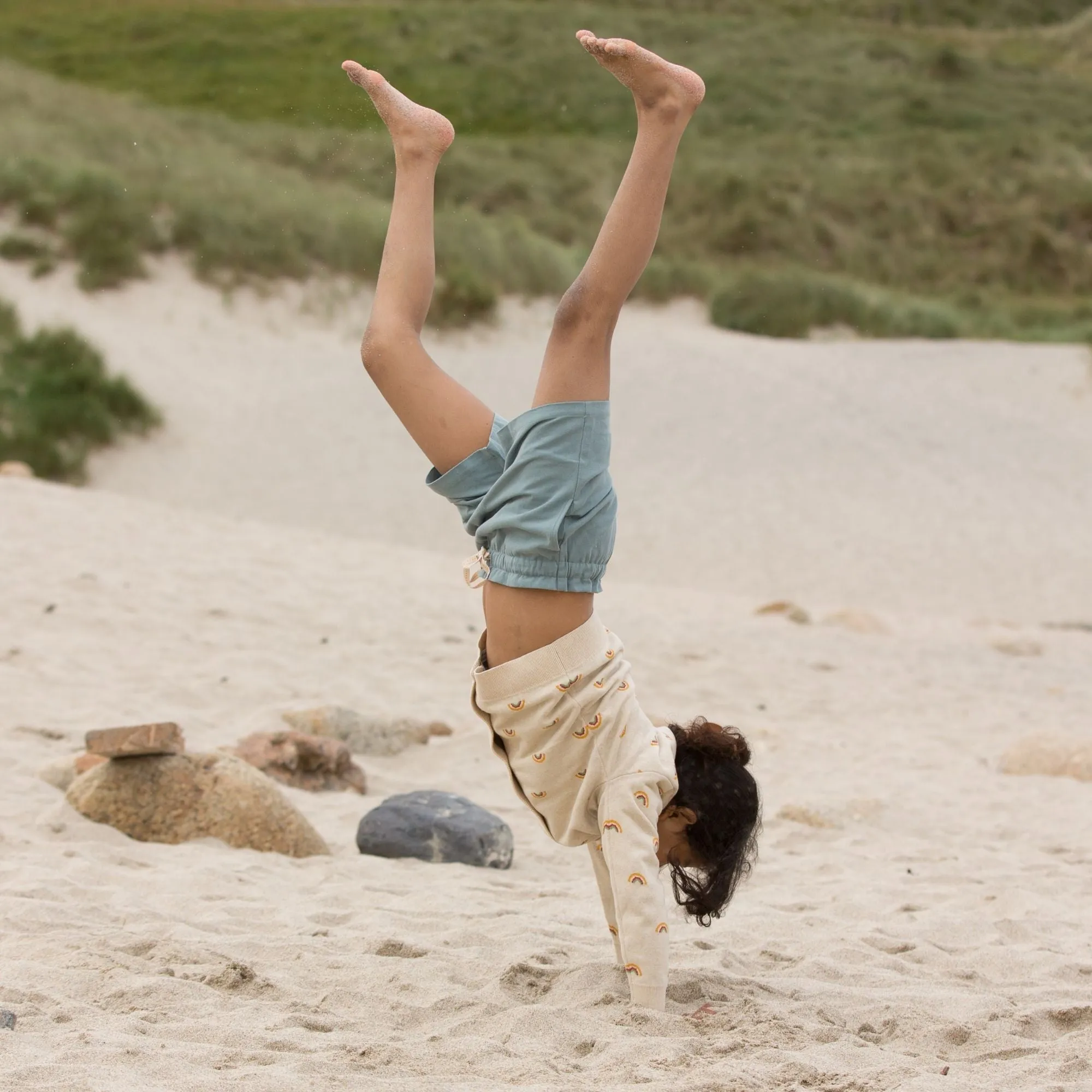 Soft Blue By The Sea Twill Shorts