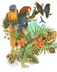Tropical Birds T-Shirt, Size Large