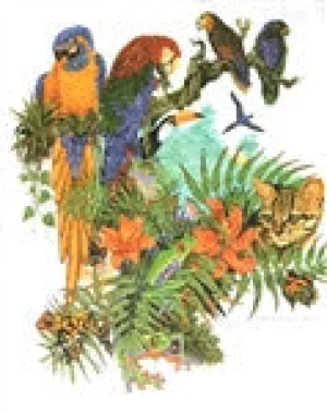 Tropical Birds T-Shirt, Size Large