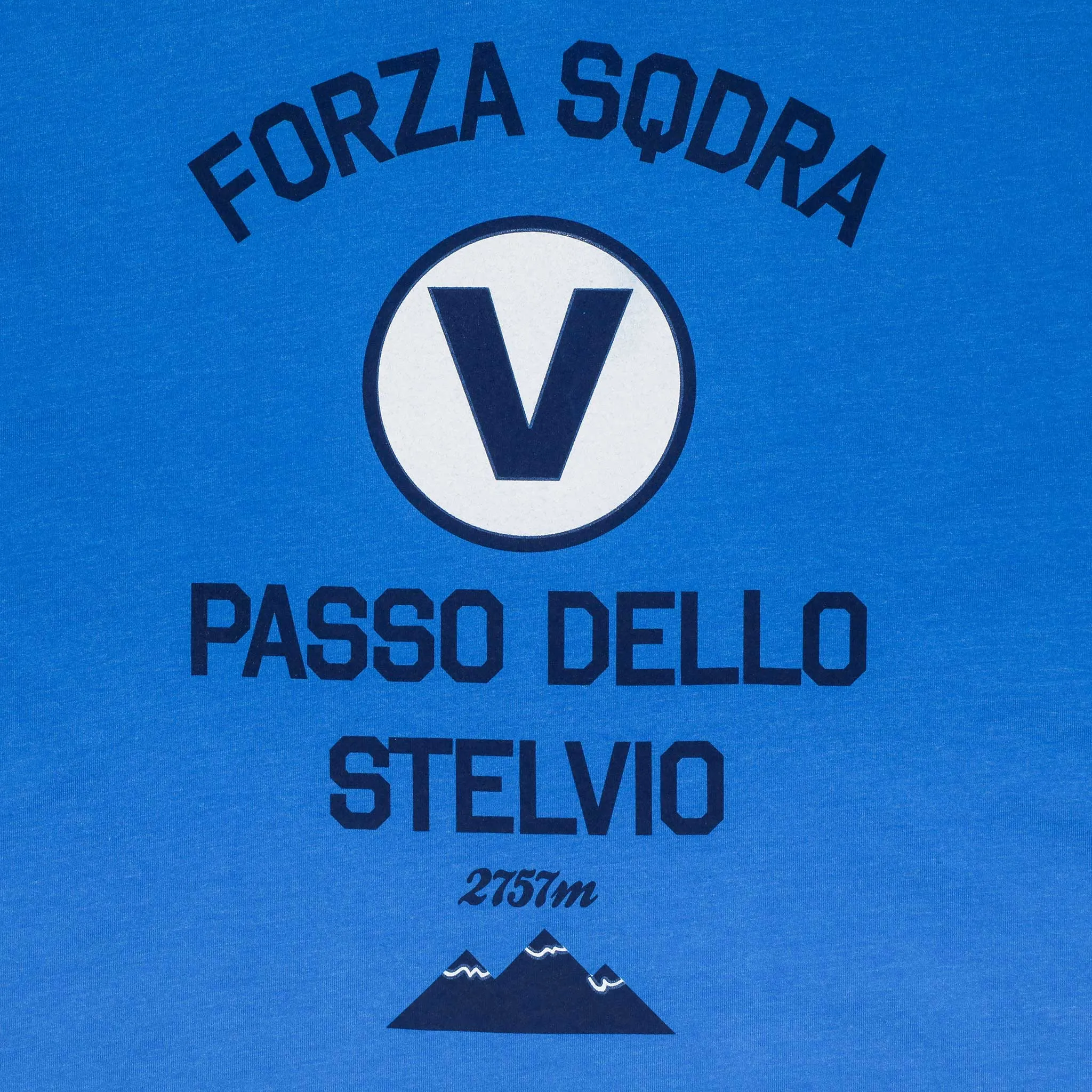 Women's Passo Dello Stelvio Teal V-Neck T-Shirt