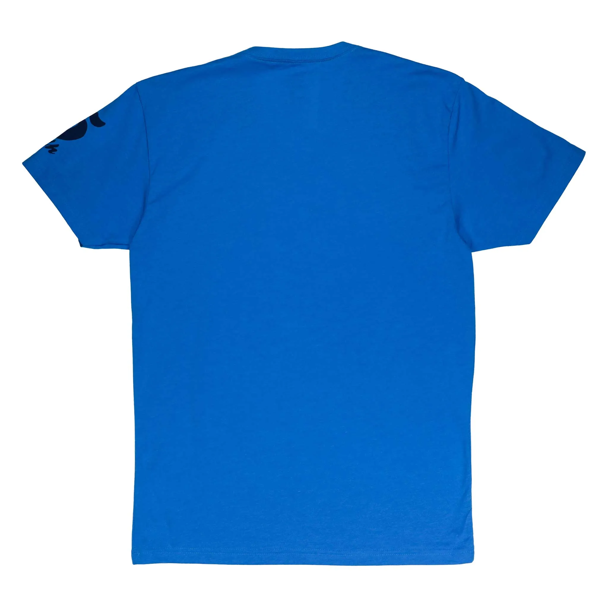 Women's Passo Dello Stelvio Teal V-Neck T-Shirt